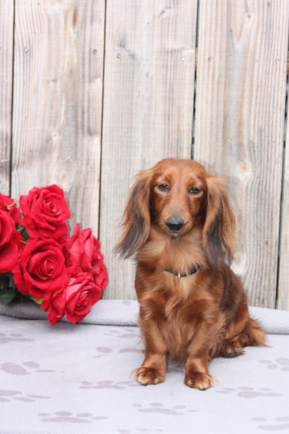 Publication : (Sans Affixe) 