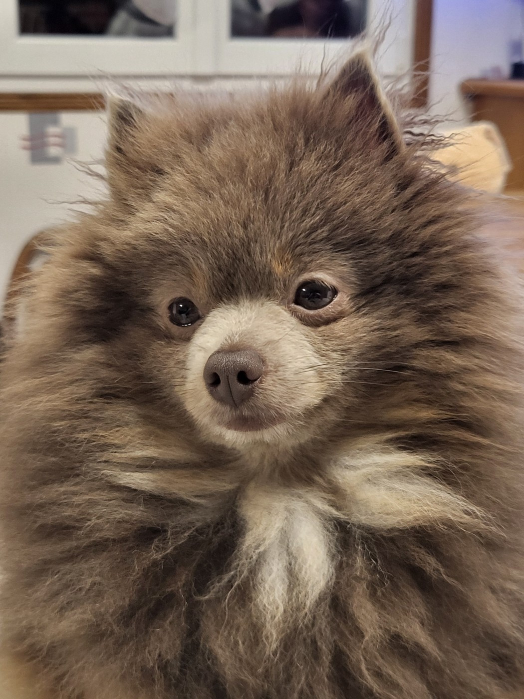 Publication : (Sans Affixe)