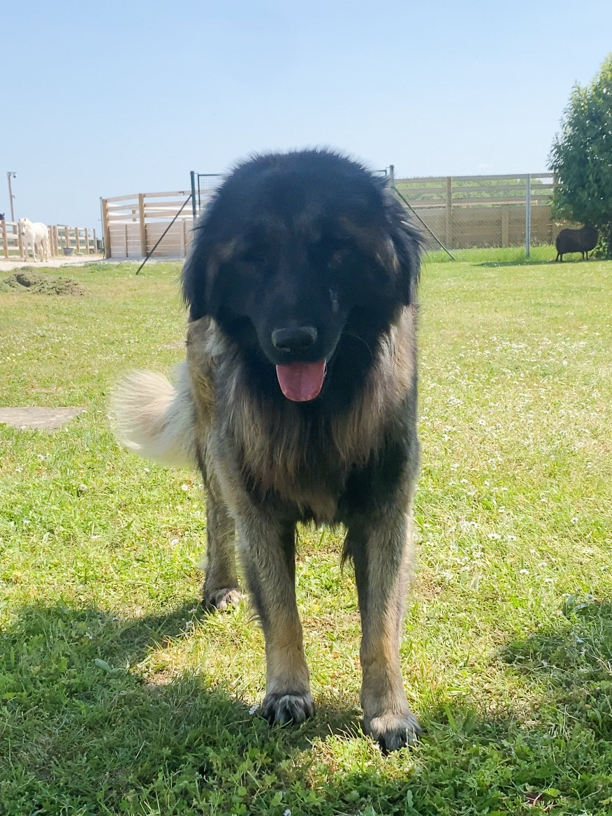 Publication : (Sans Affixe) 