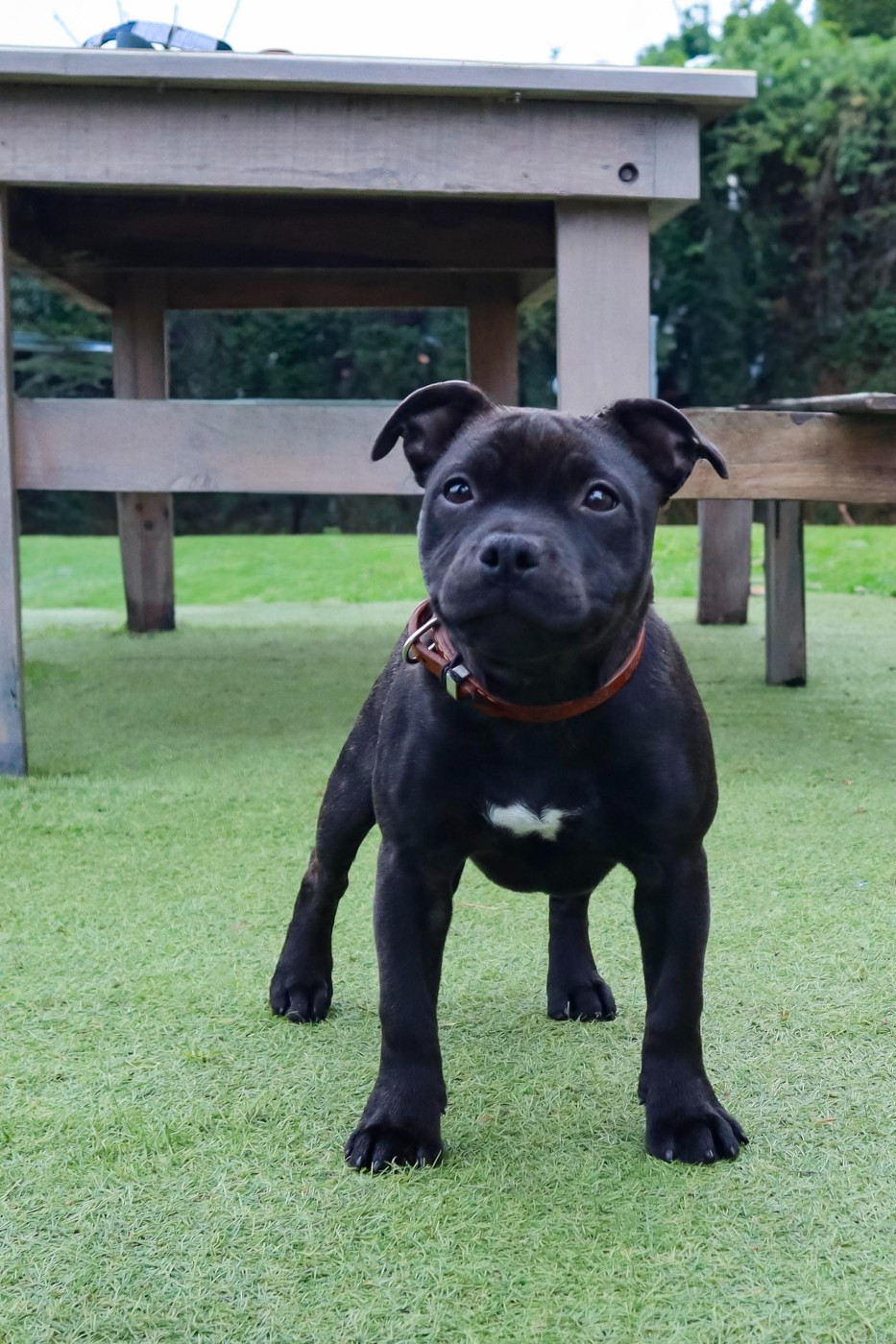 Publication : Honeyblood Auteur : @honeyblood