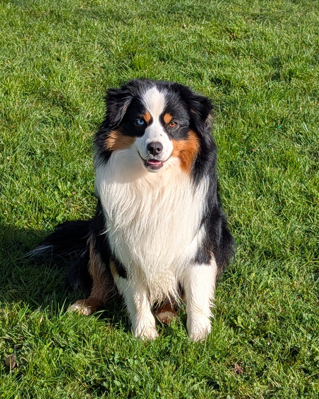 Publication : De L'Esprit D'Oural Auteur : Cyril M