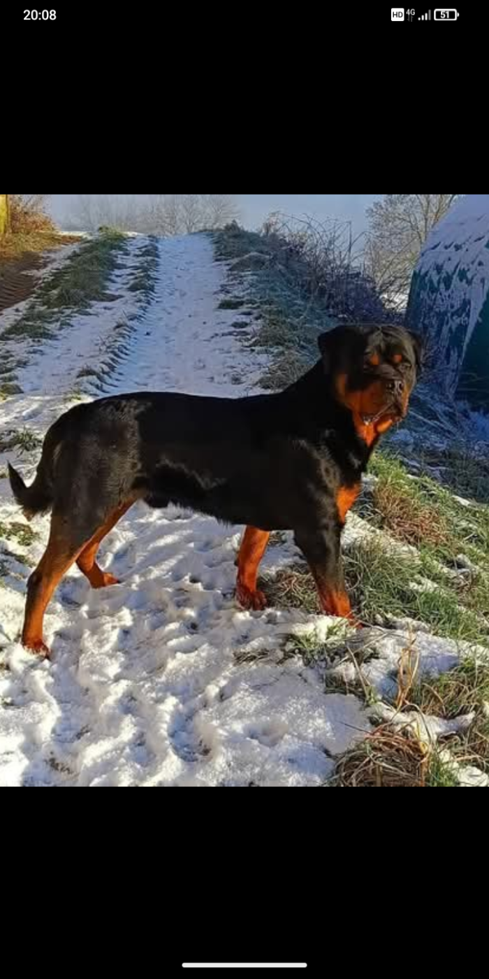 Publication : Des Gardiens De Malorius