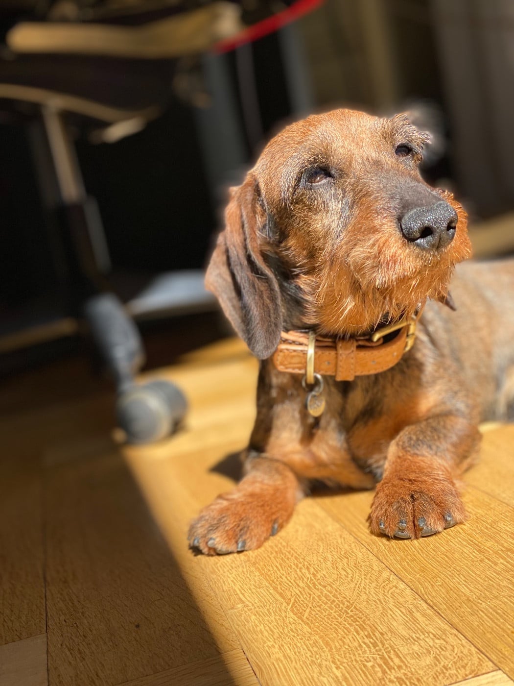 Publication : Hope Diamond 