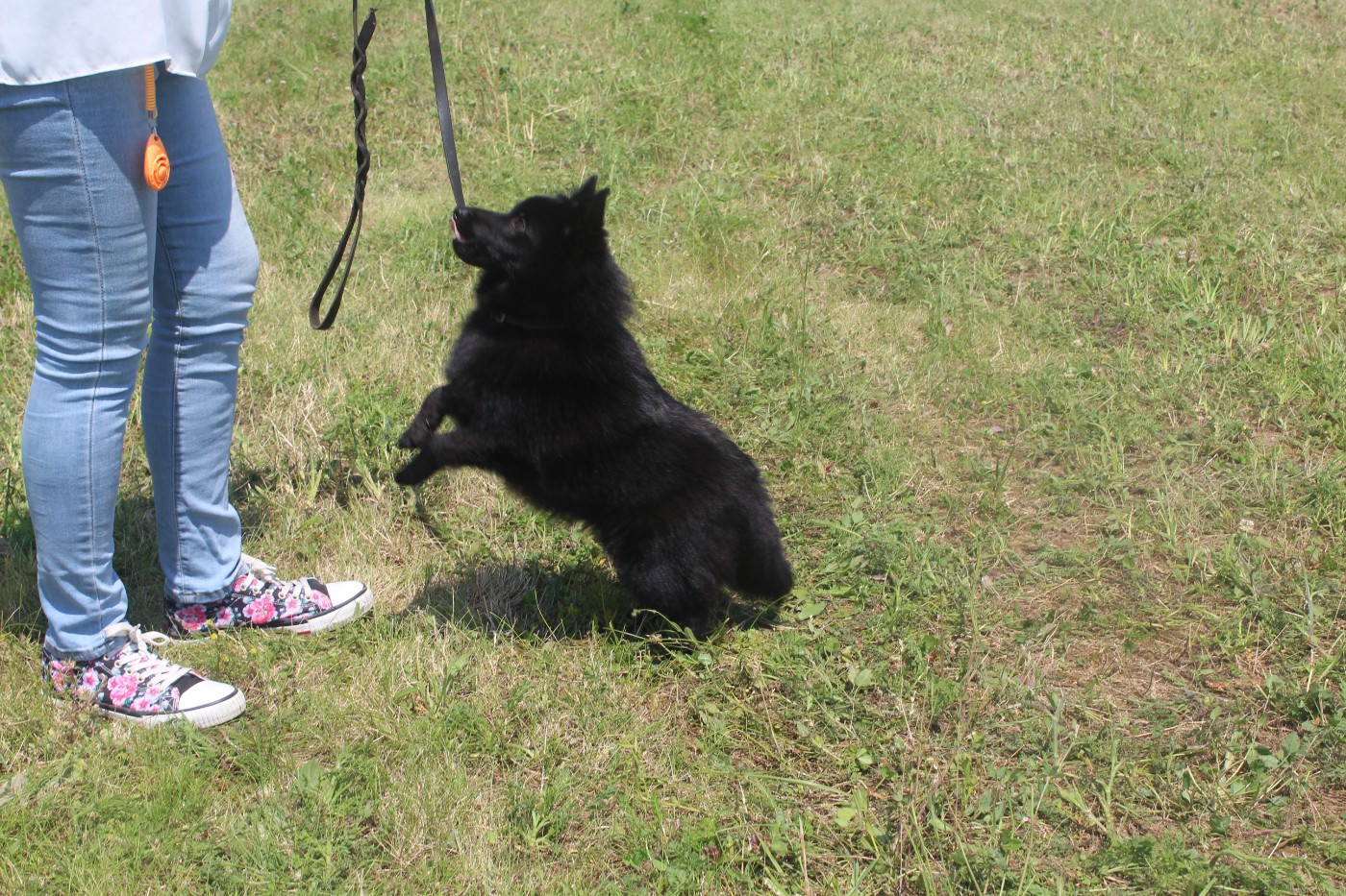 Publication : De la bastide du val de cagnes