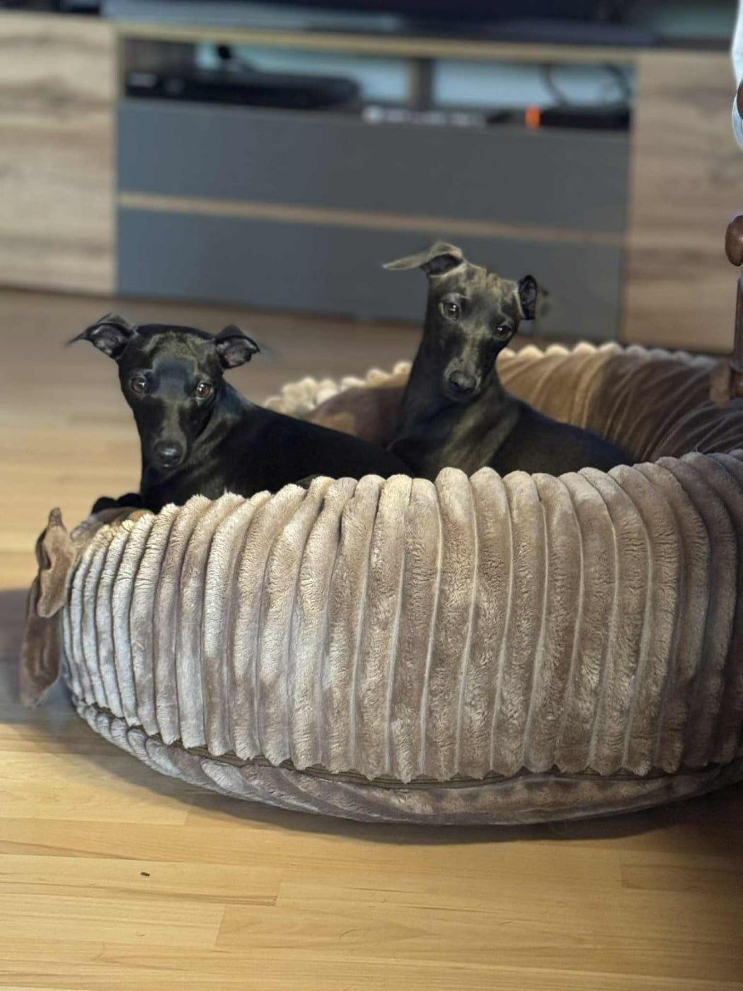 Publication : Du Domaine Des Grands Causses