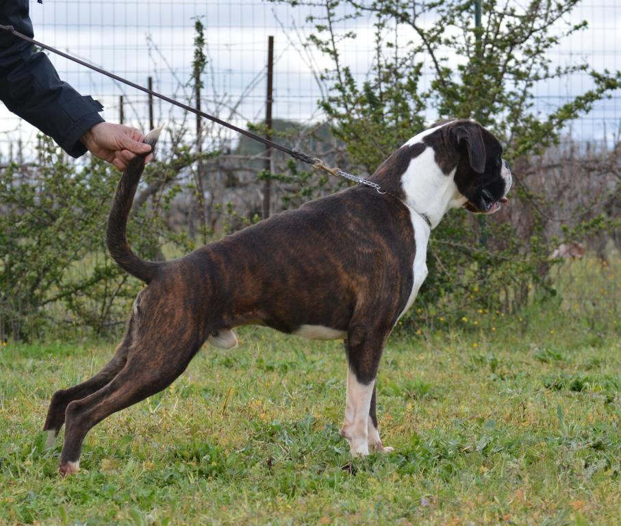Publication : Des gorges d'heric Auteur : Sébastien BENESPERI