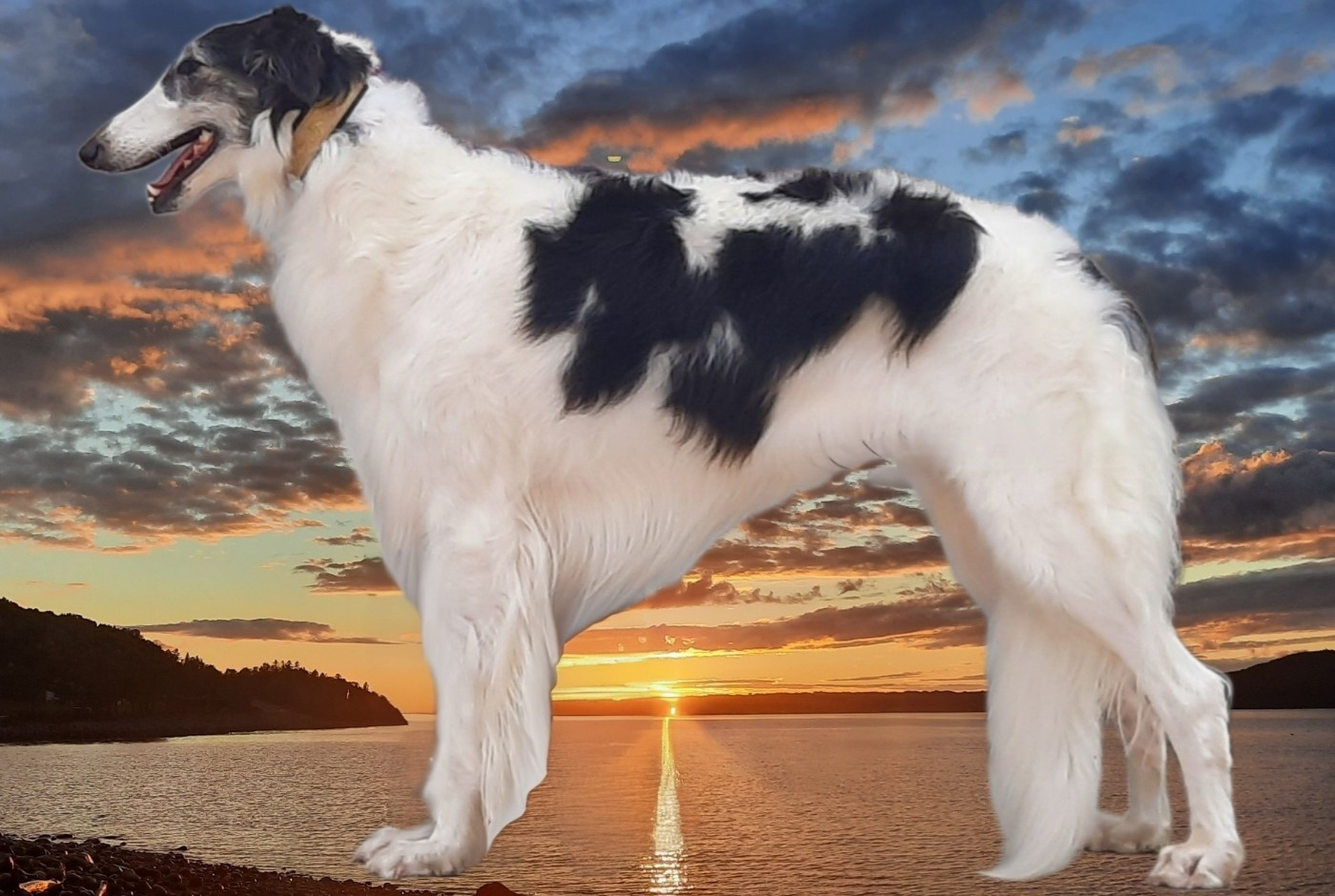 Publication : du Clos Vremontois Auteur : Bourrasset