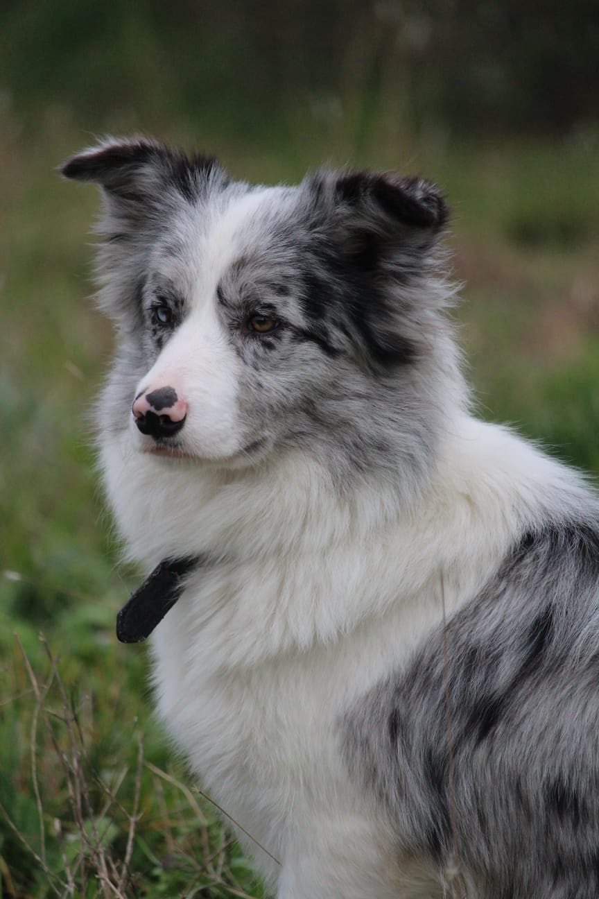 Publication : Des Terres D'Emmatchou 