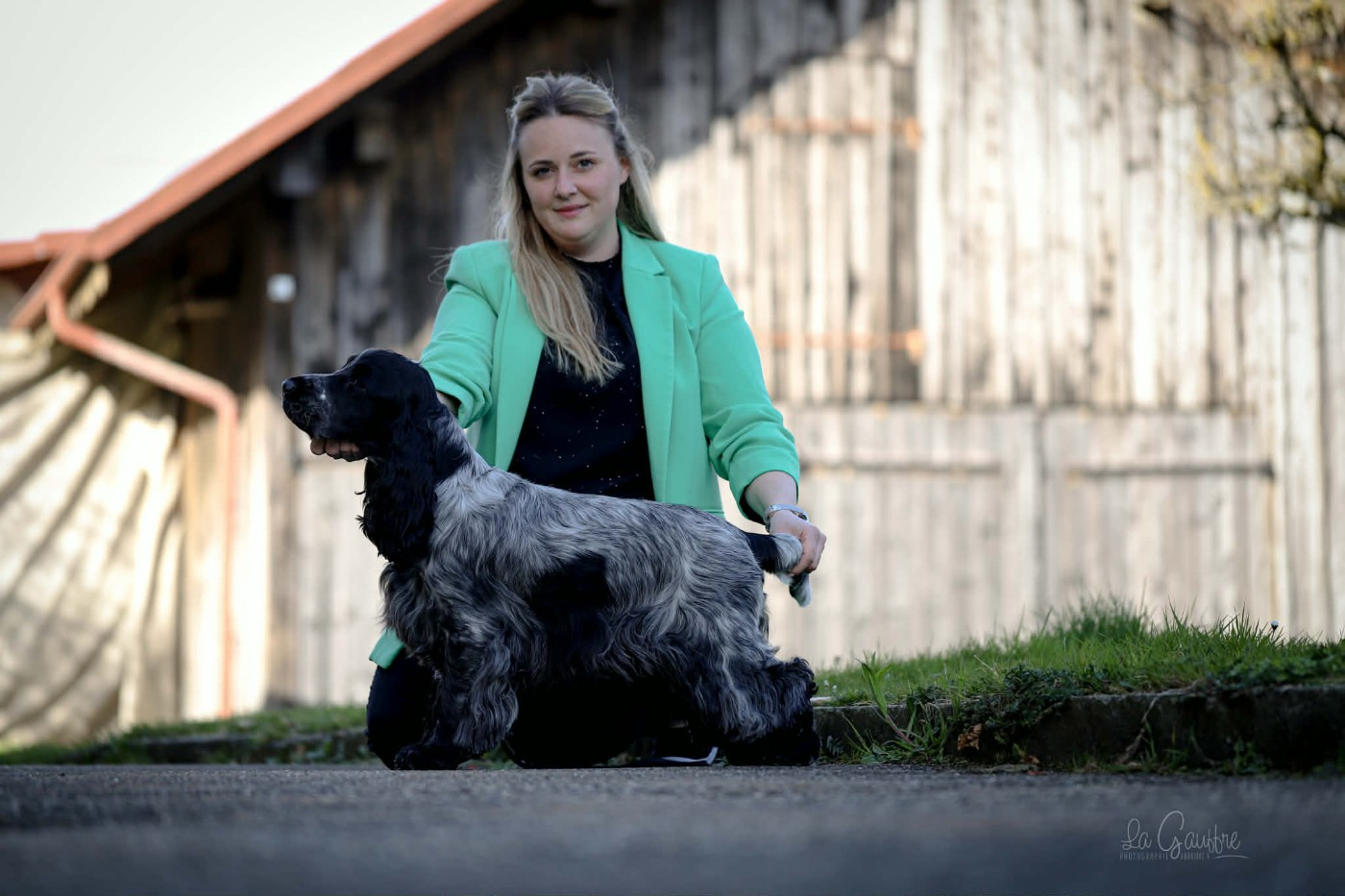 Publication : Domaine D'ostrale 