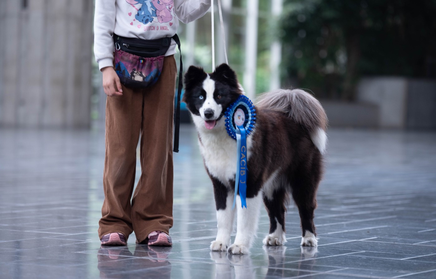 Publication : Dust Of Snow Auteur : Sylviane Bastié