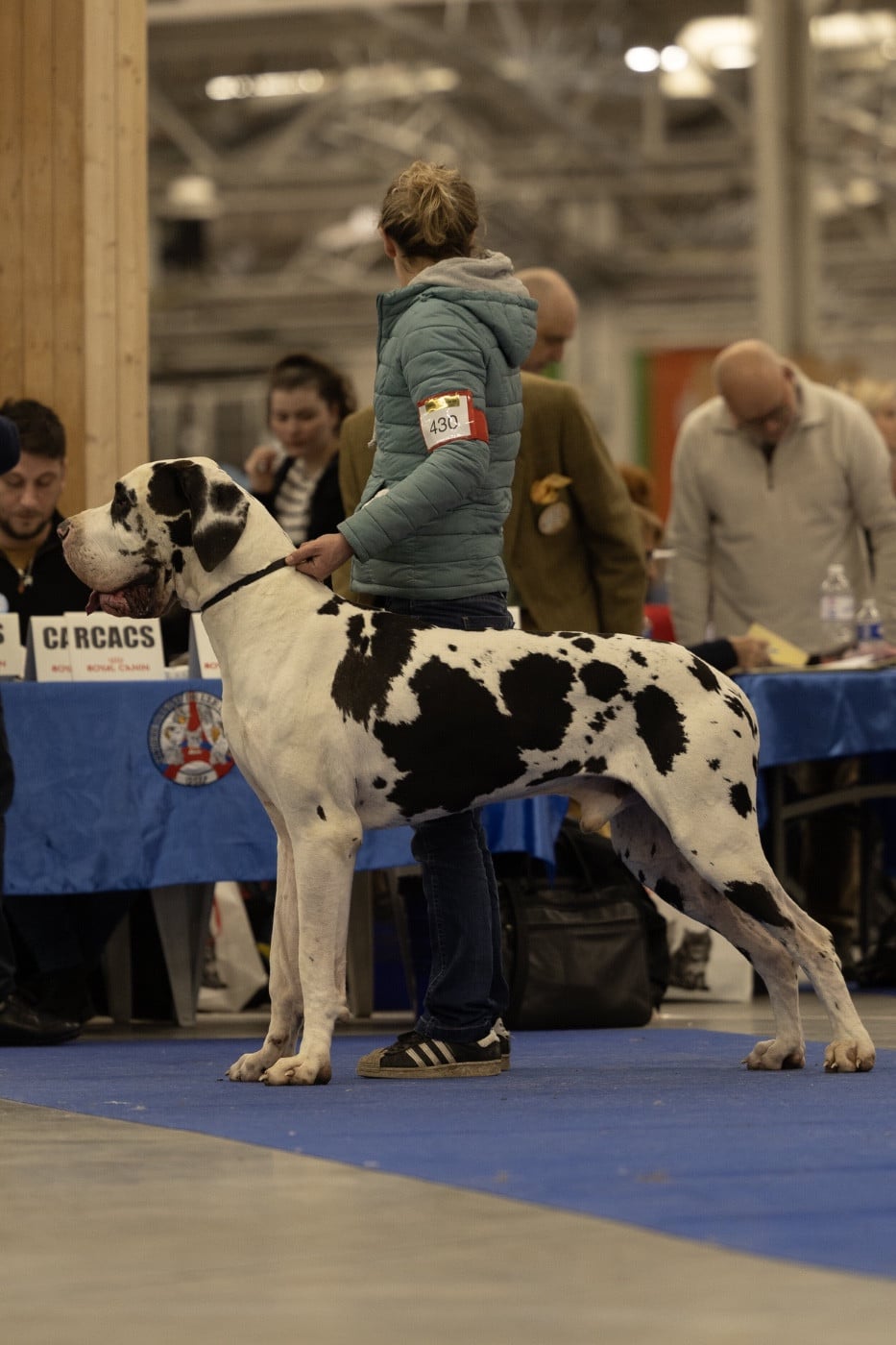 Publication : Des Gardiens De L'Homme