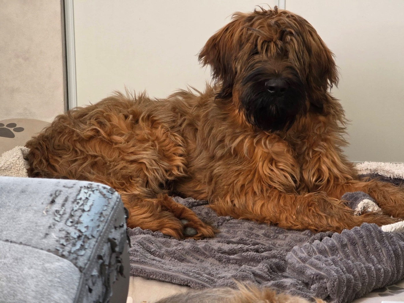 Publication : du Jardin aux Eglantines Auteur : Fischer Stephanie