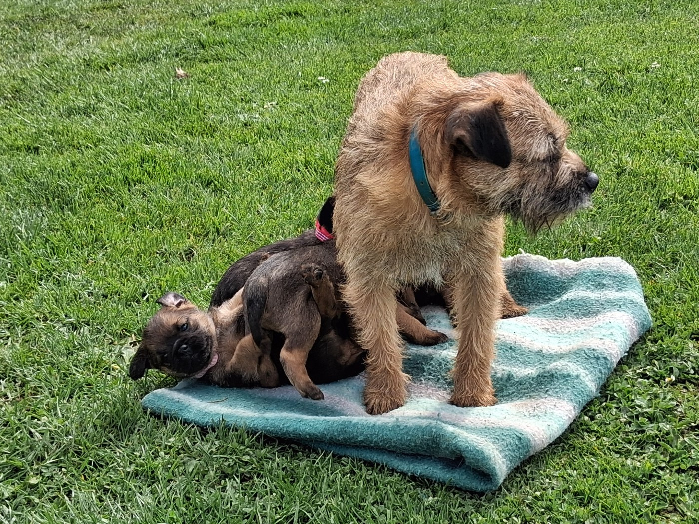 Publication : Of Sharper's