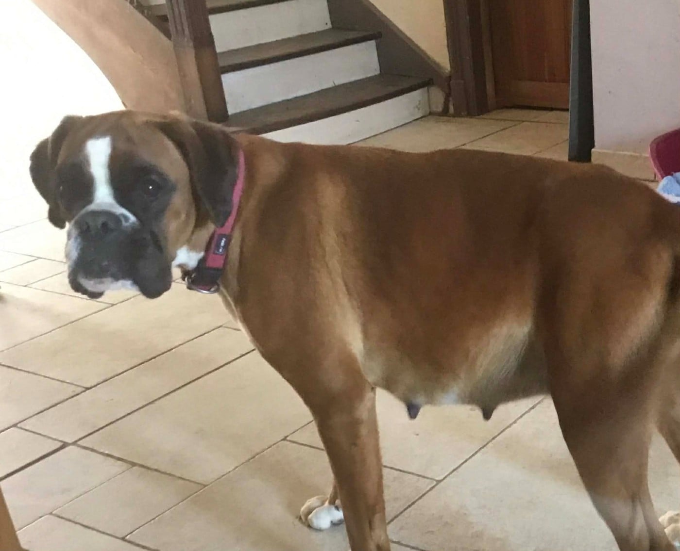 Publication : (Sans Affixe) 