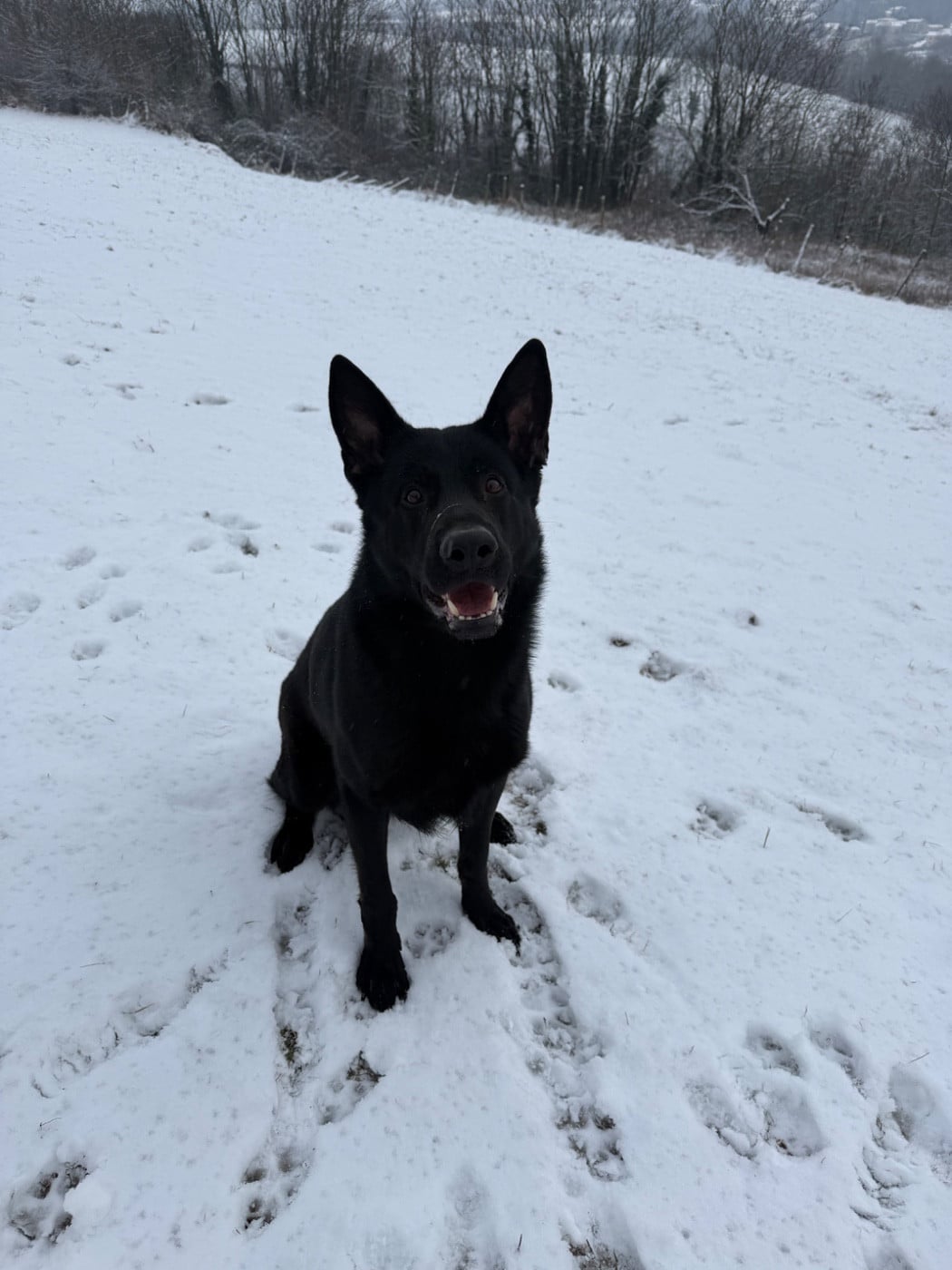 Publication : De La Plaine De Kalina 