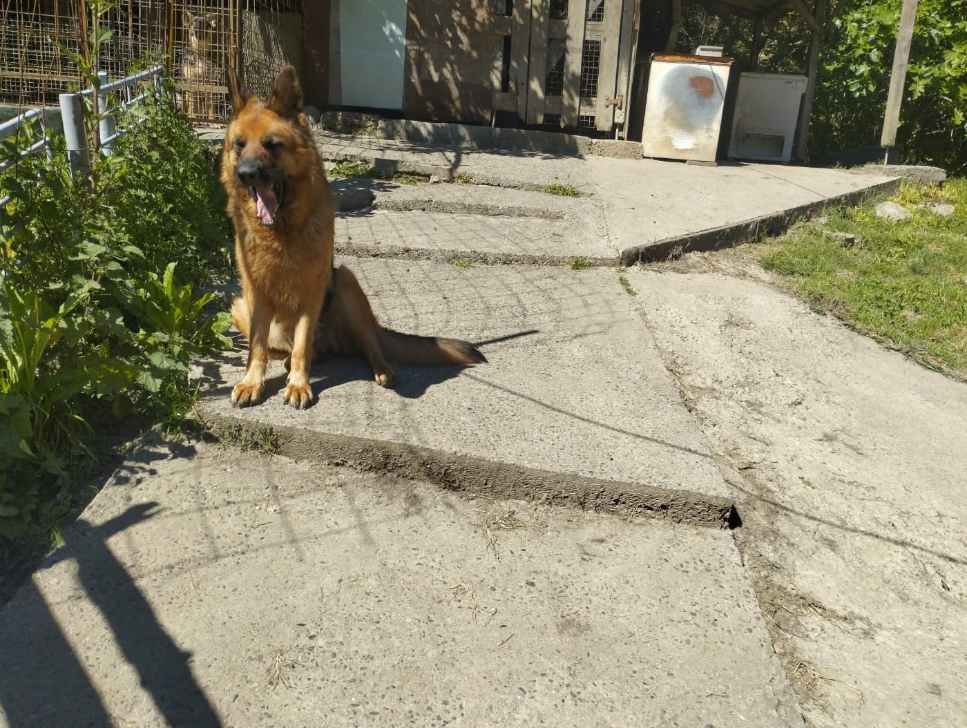 Publication : Euskal herria izarra Auteur : Seurin Nelly