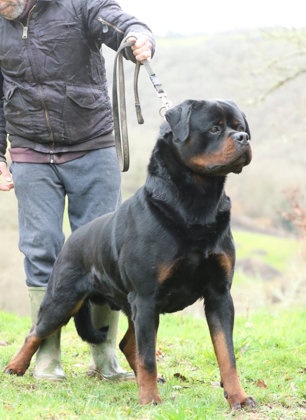 Publication : von der wharen kraft 