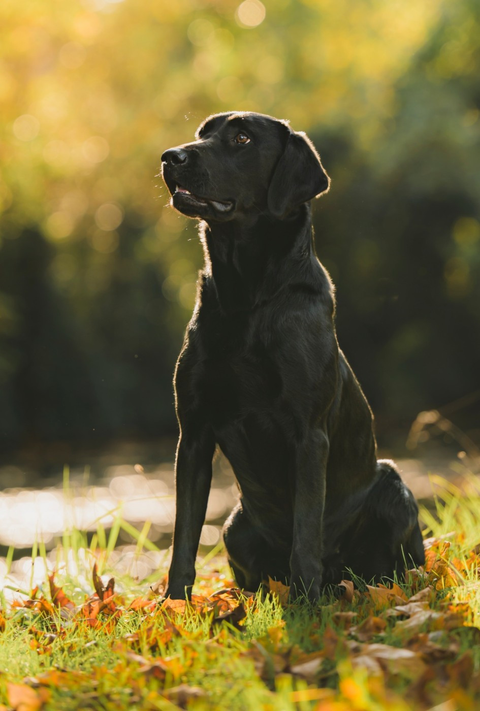 Publication : Connivence Auteur : Valérie Aubois Photographie