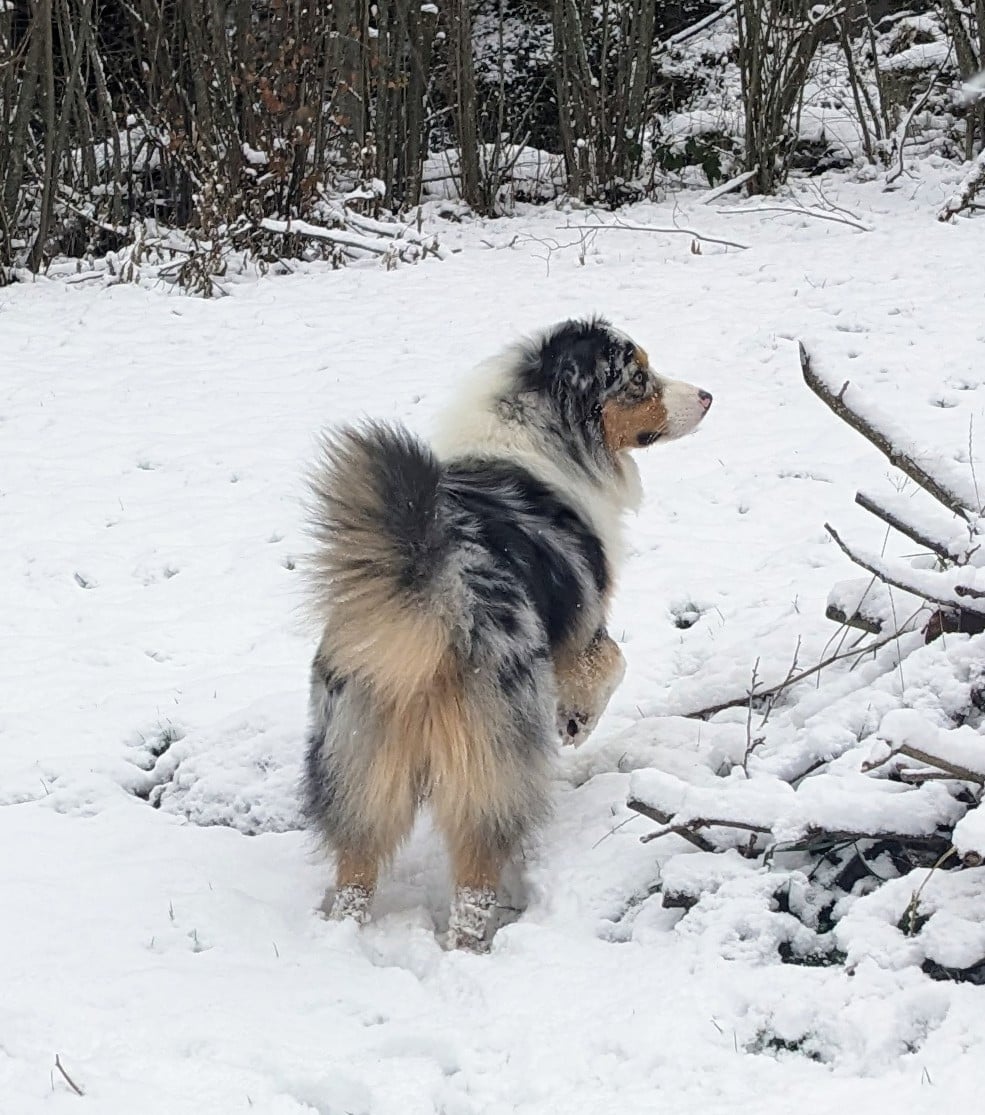 Publication : Des Terres O'stral De Luska 