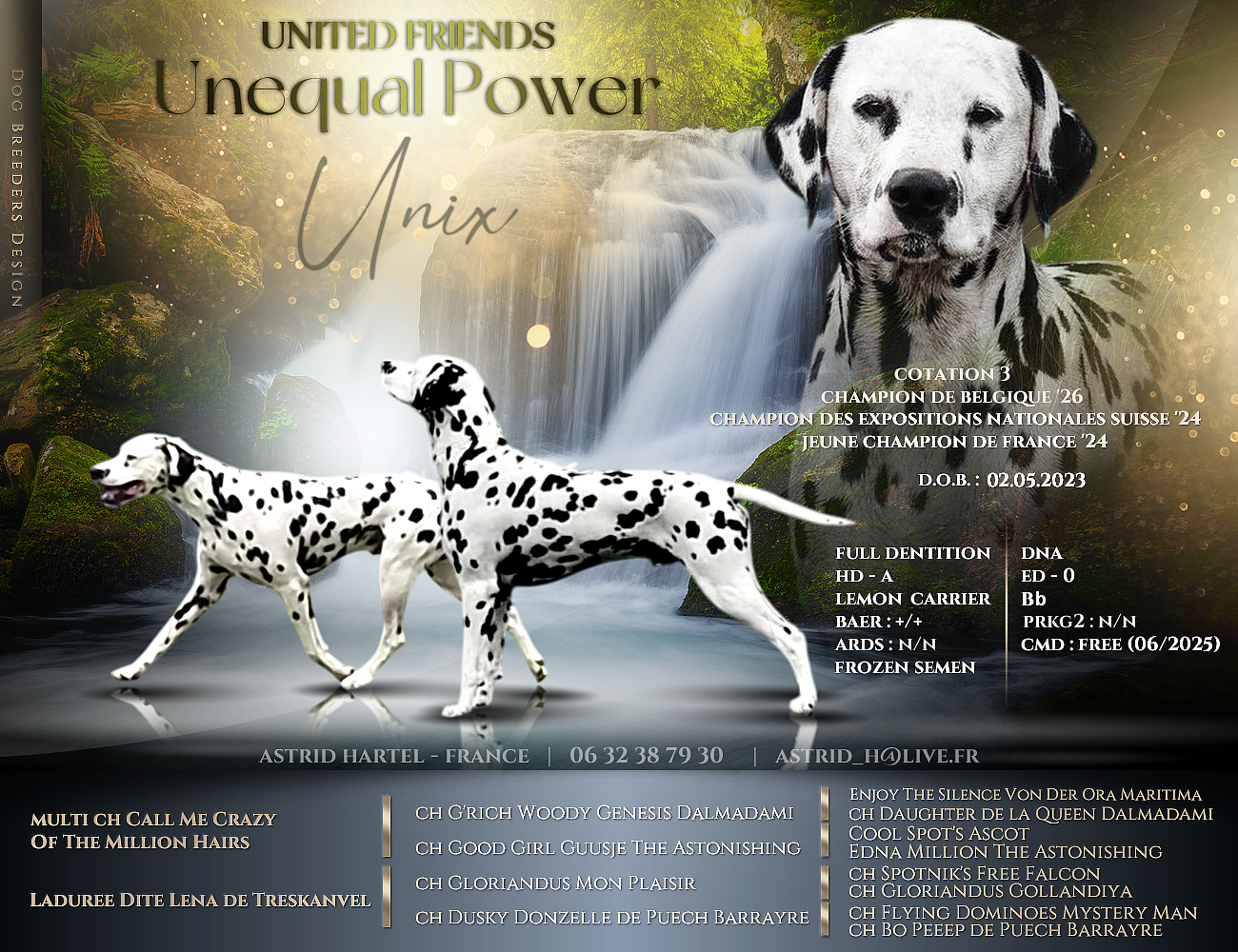 Publication : United Friends 