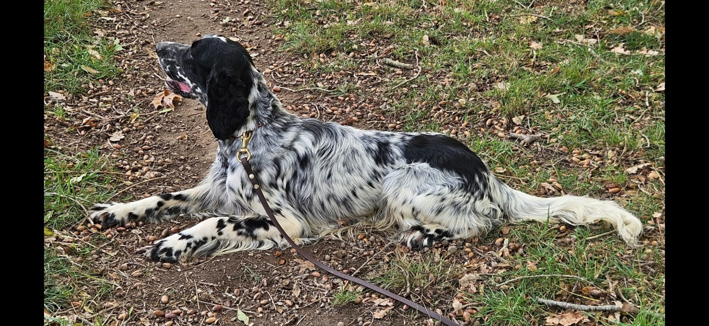 Publication : Des Grés Rouges Auteur : Jean Brana