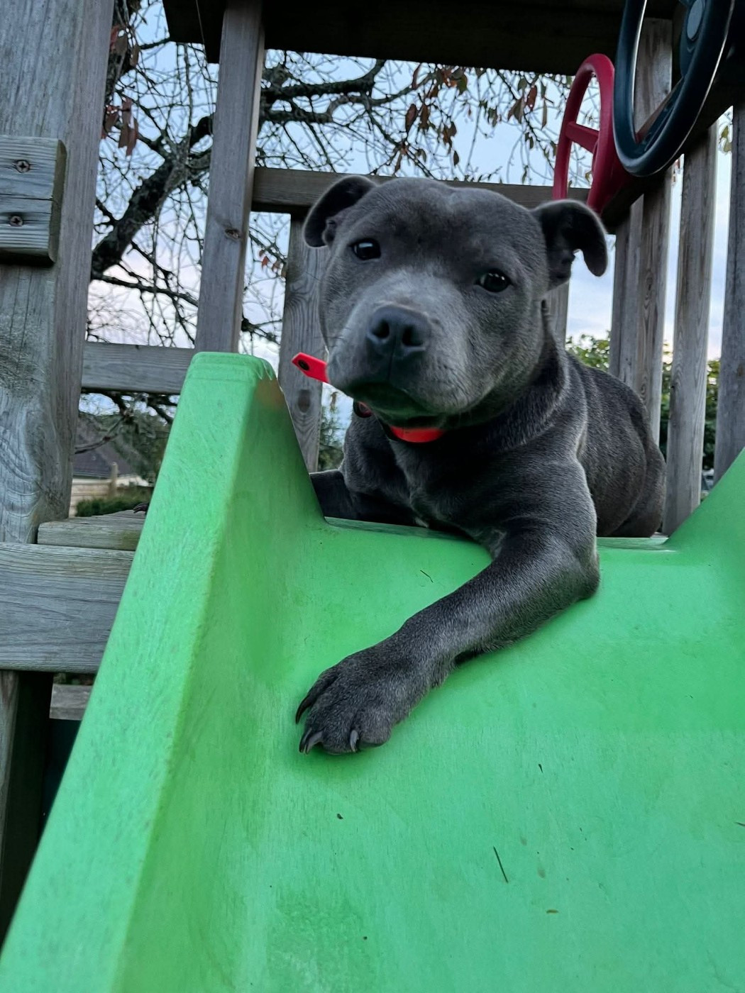 Publication : (Sans Affixe) 