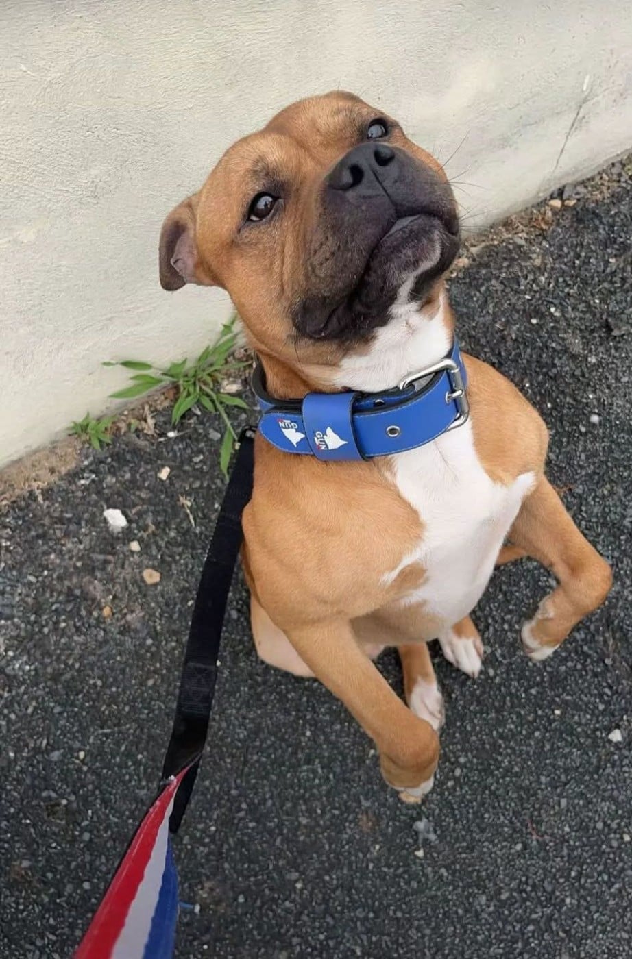 Publication : (Sans Affixe) 