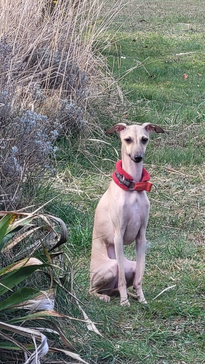 Publication : Vom Sommerblues 