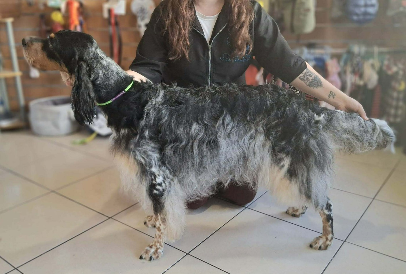 Publication : Des Bois de Nikita 