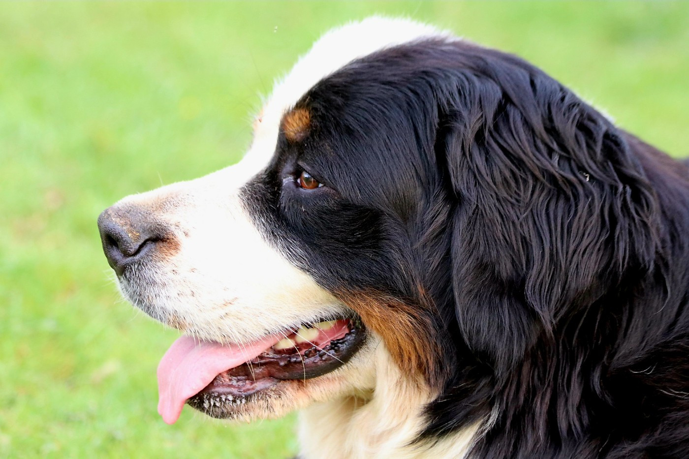 Publication : God Bless You 