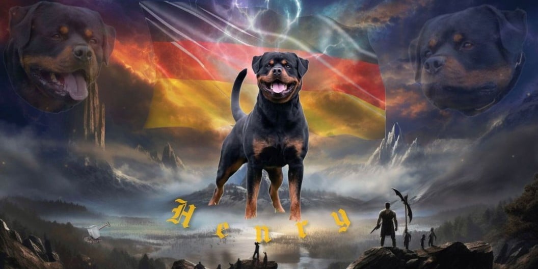 Publication : Du Valhalla Des Anges Noirs 