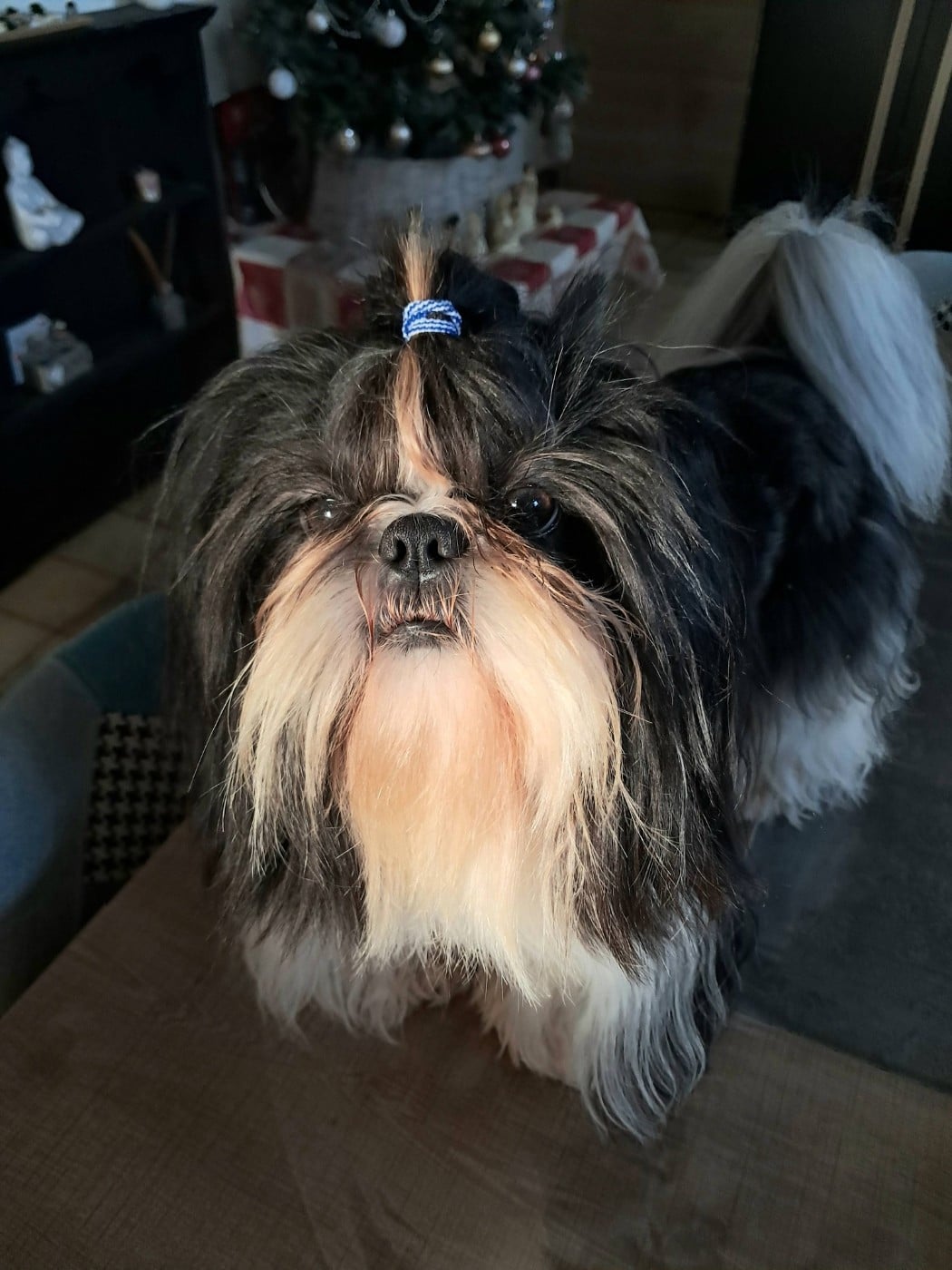 Publication : Soclemax Auteur : S.B