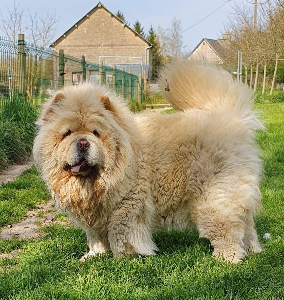 PUNKY du domaine de fabadel