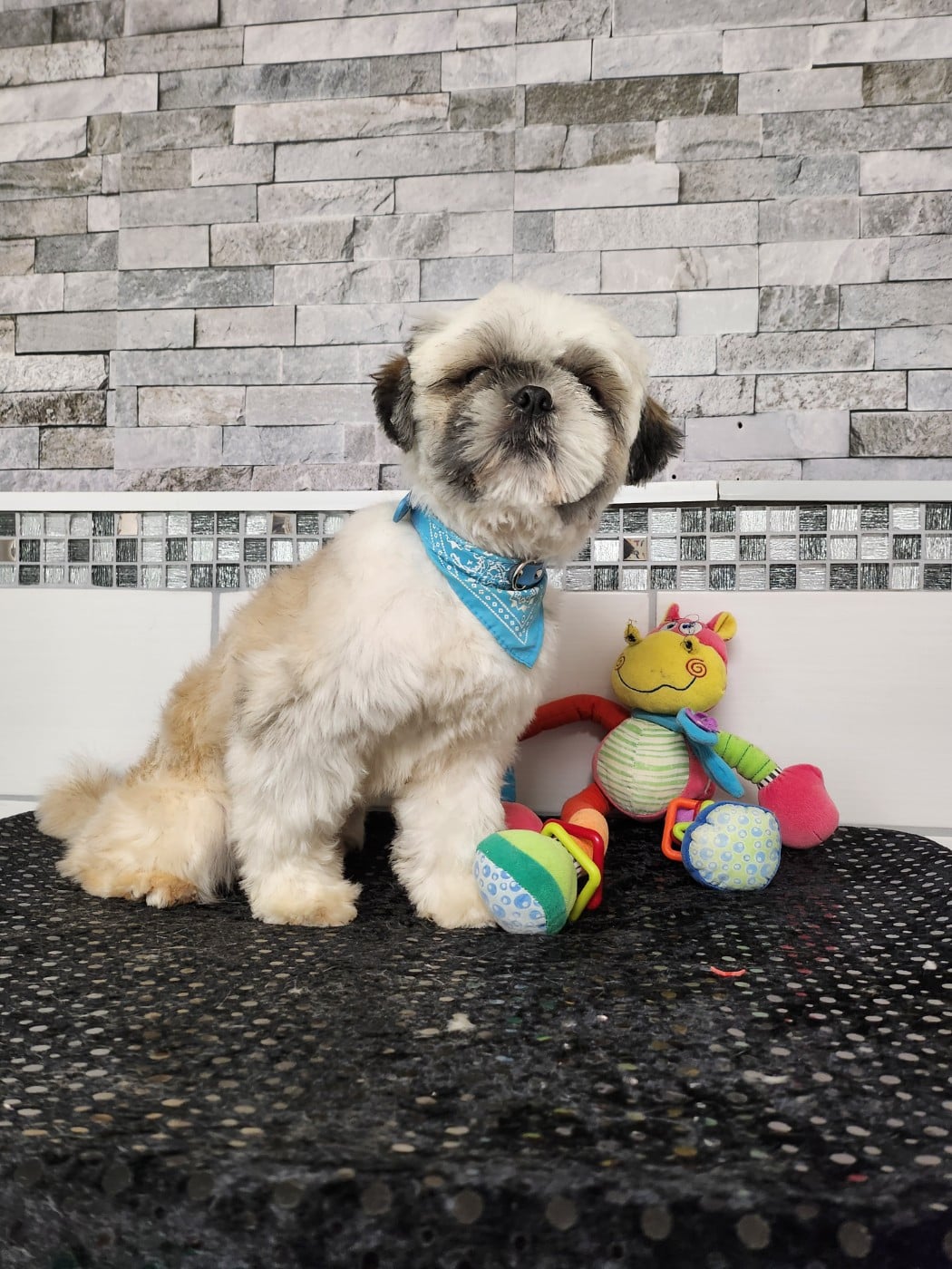 Publication : du chateau d'o-riant Auteur : NATHALIE CADOT