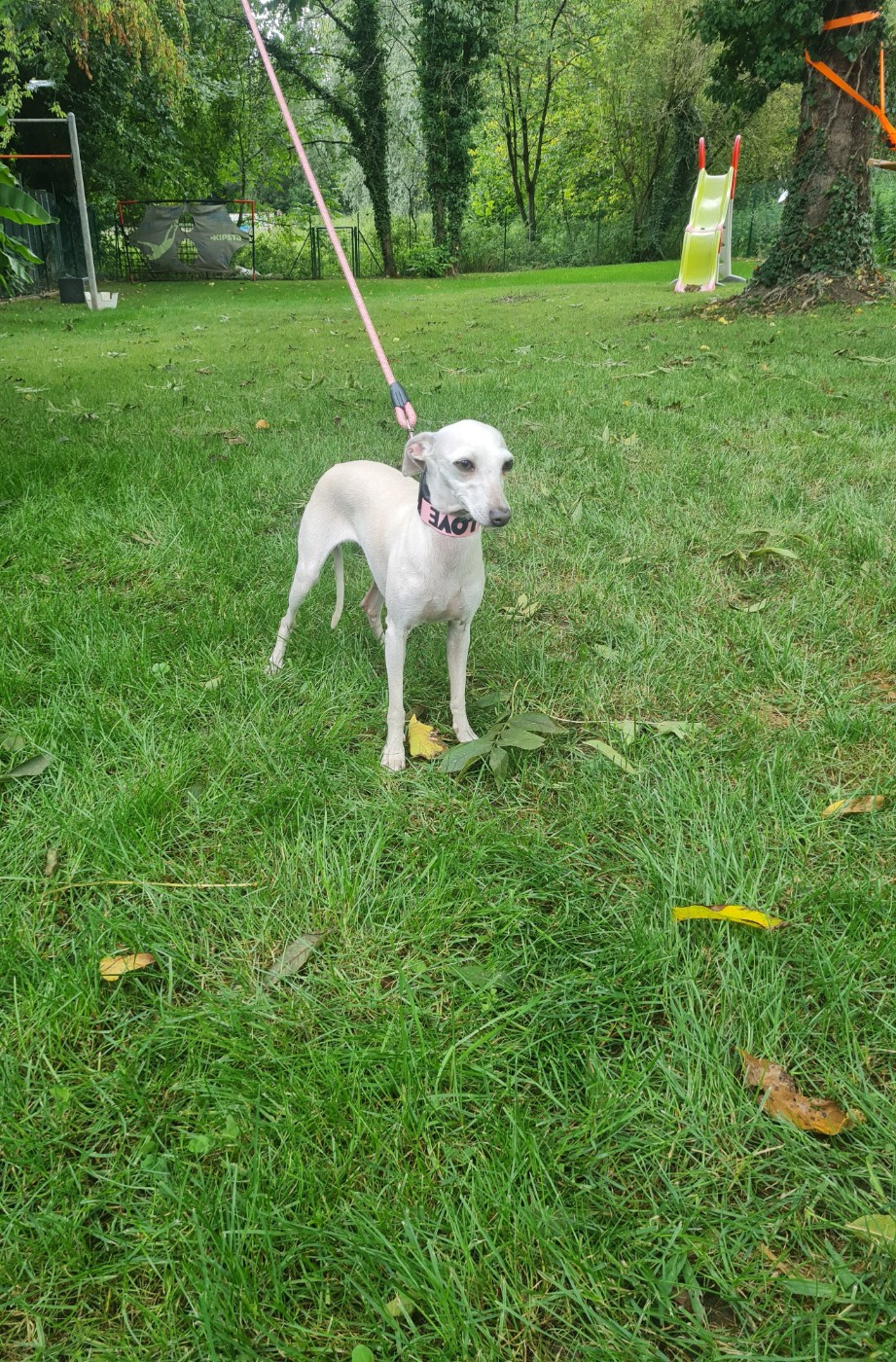 Publication : de la vallée de venus 