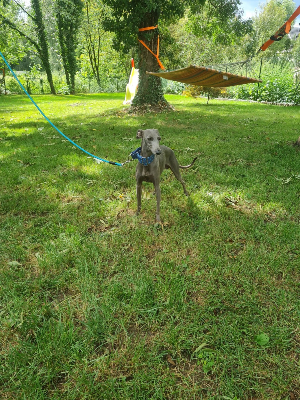 Publication : de la vallée de venus 