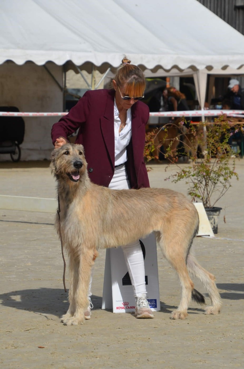 Publication : du mas de Canteperdrix 