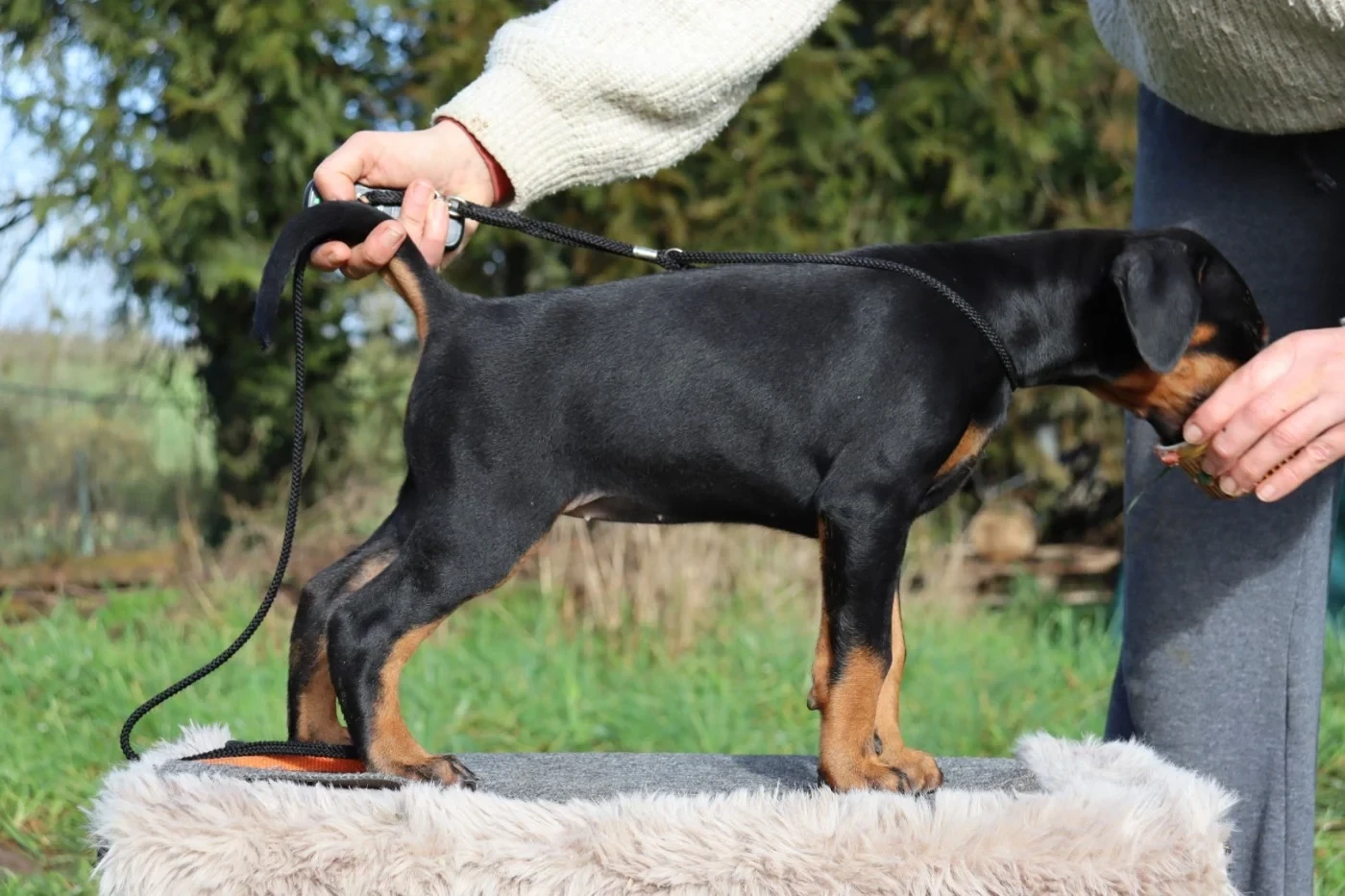 Publication : Du temple de kali 