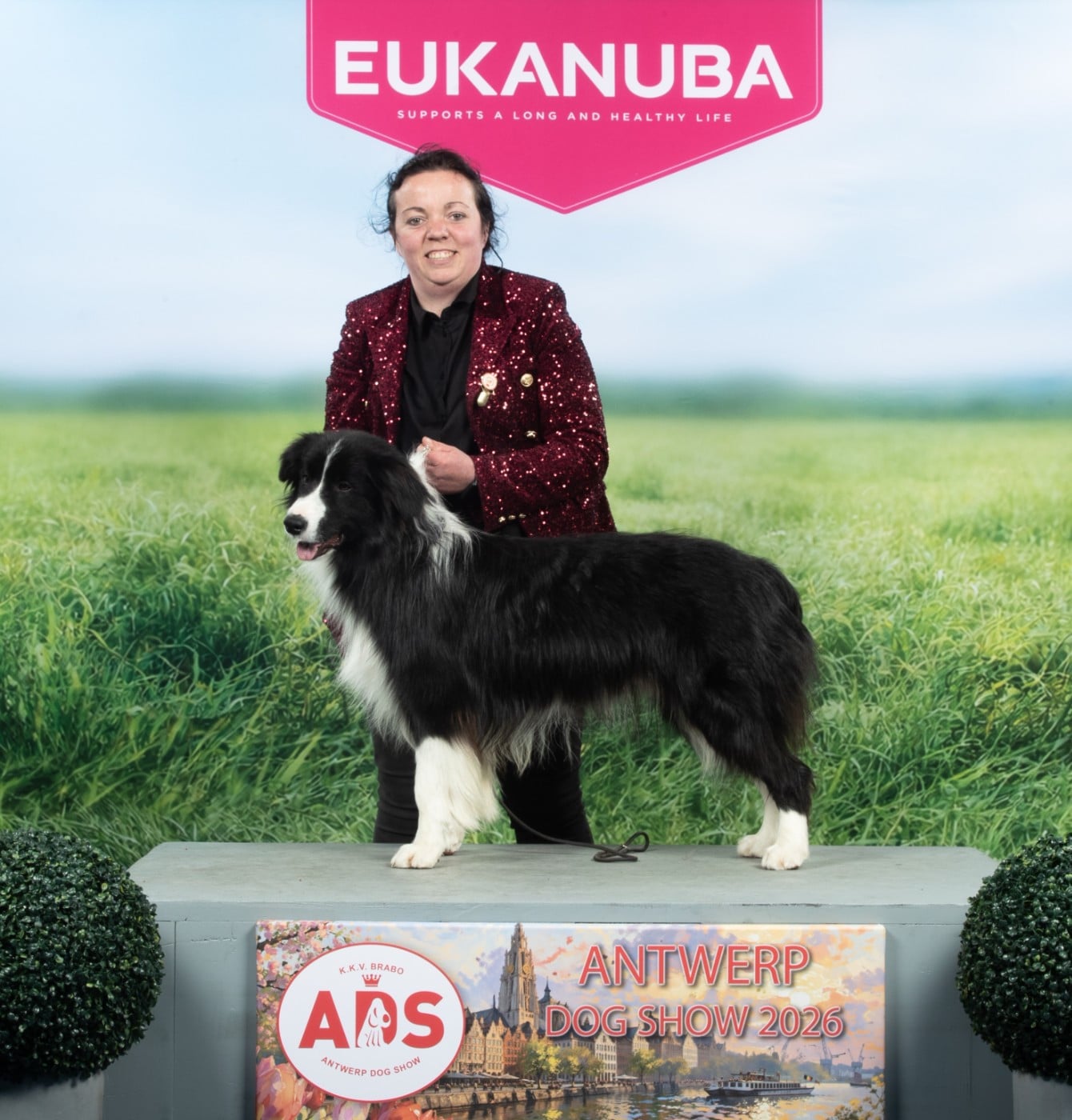 Publication : Of Pacific Spirit Auteur : Anvers dog show pro