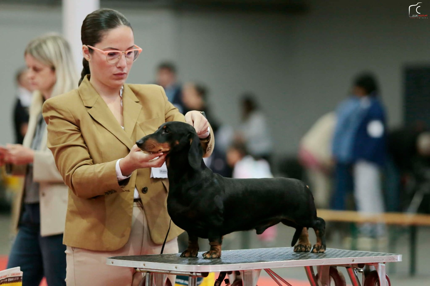 Publication : de la Passe de l'Eider 