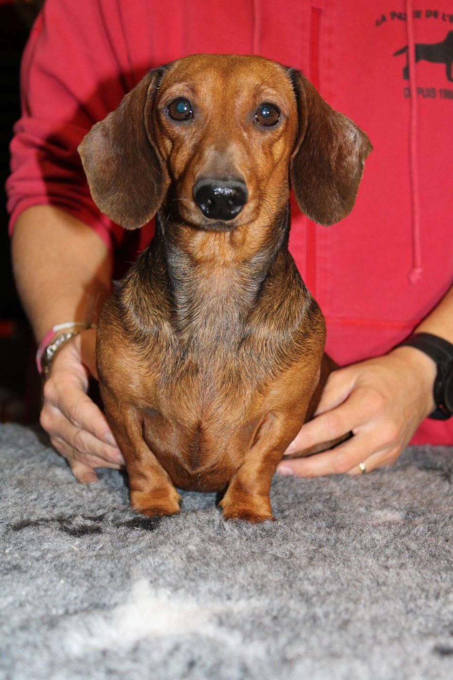 Publication : de la Passe de l'Eider 