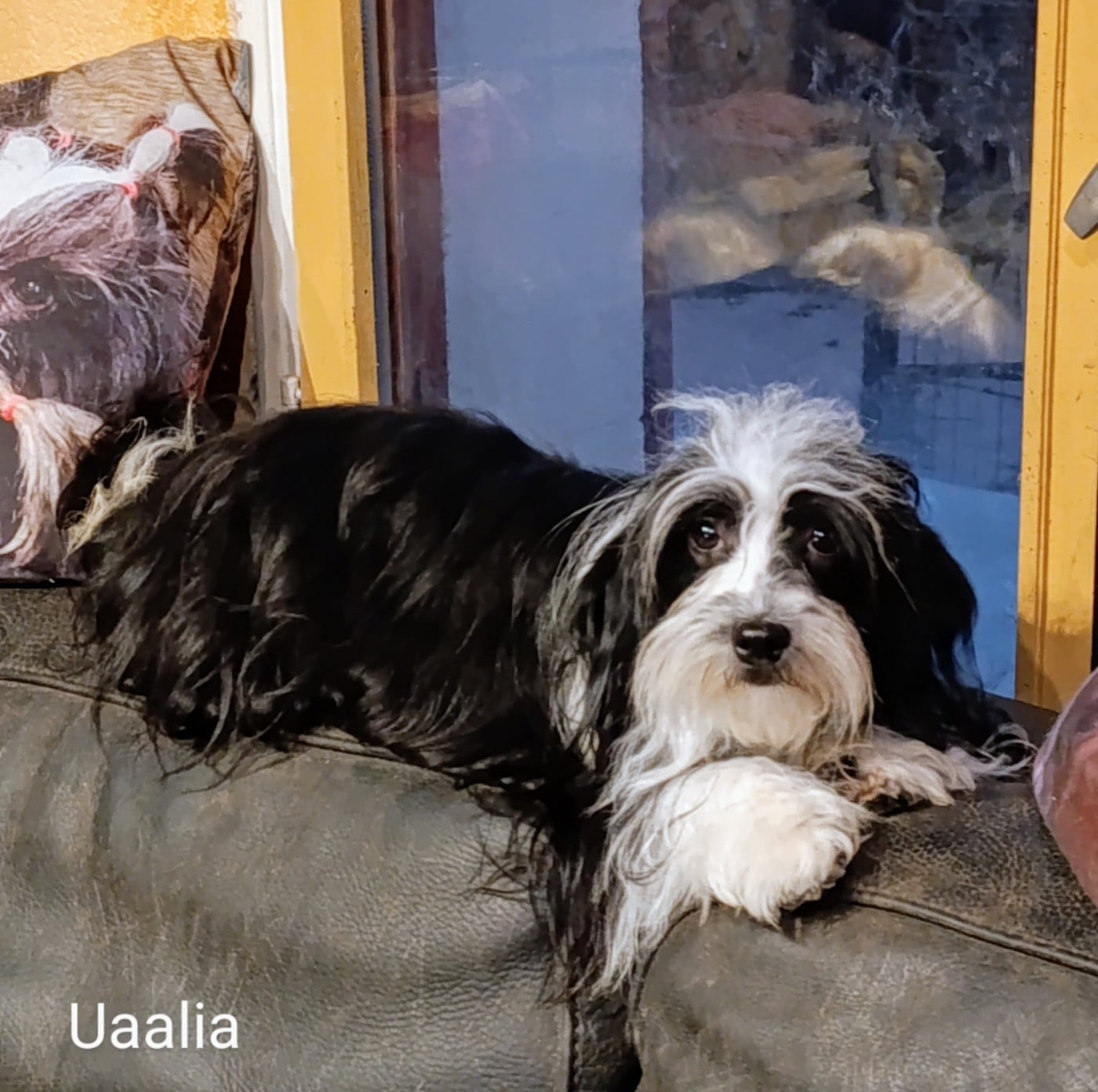 Publication : Coeur De Masai Auteur : septier garreau