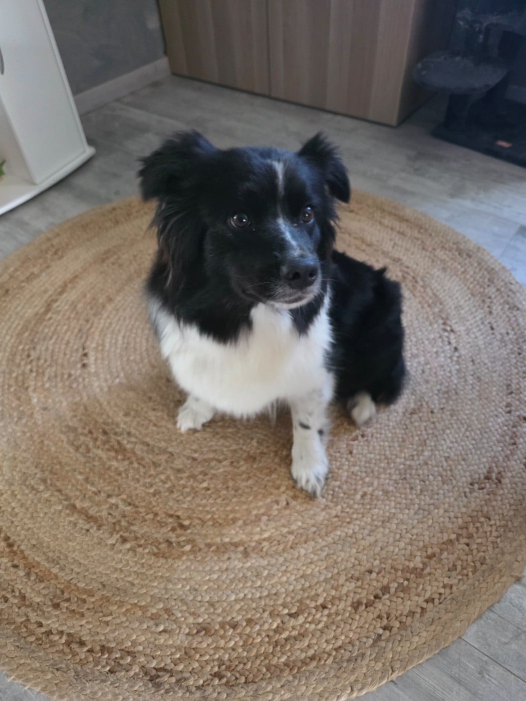 Publication : La Plaine De La Maurienne 