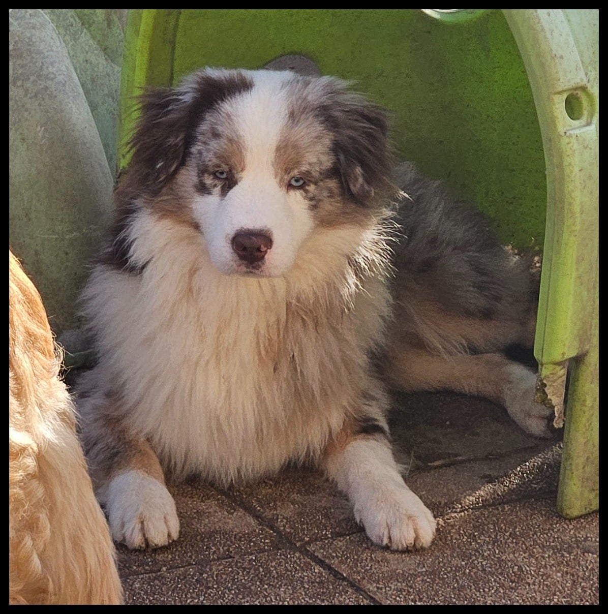 Publication : Du Diamant Des Neiges 