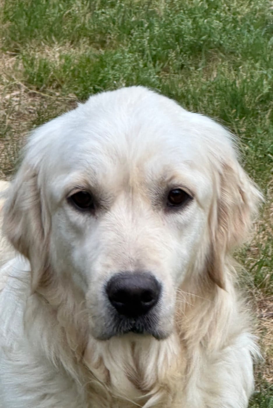 Publication : De sandie landes Auteur : SEMONIN SANDRINE