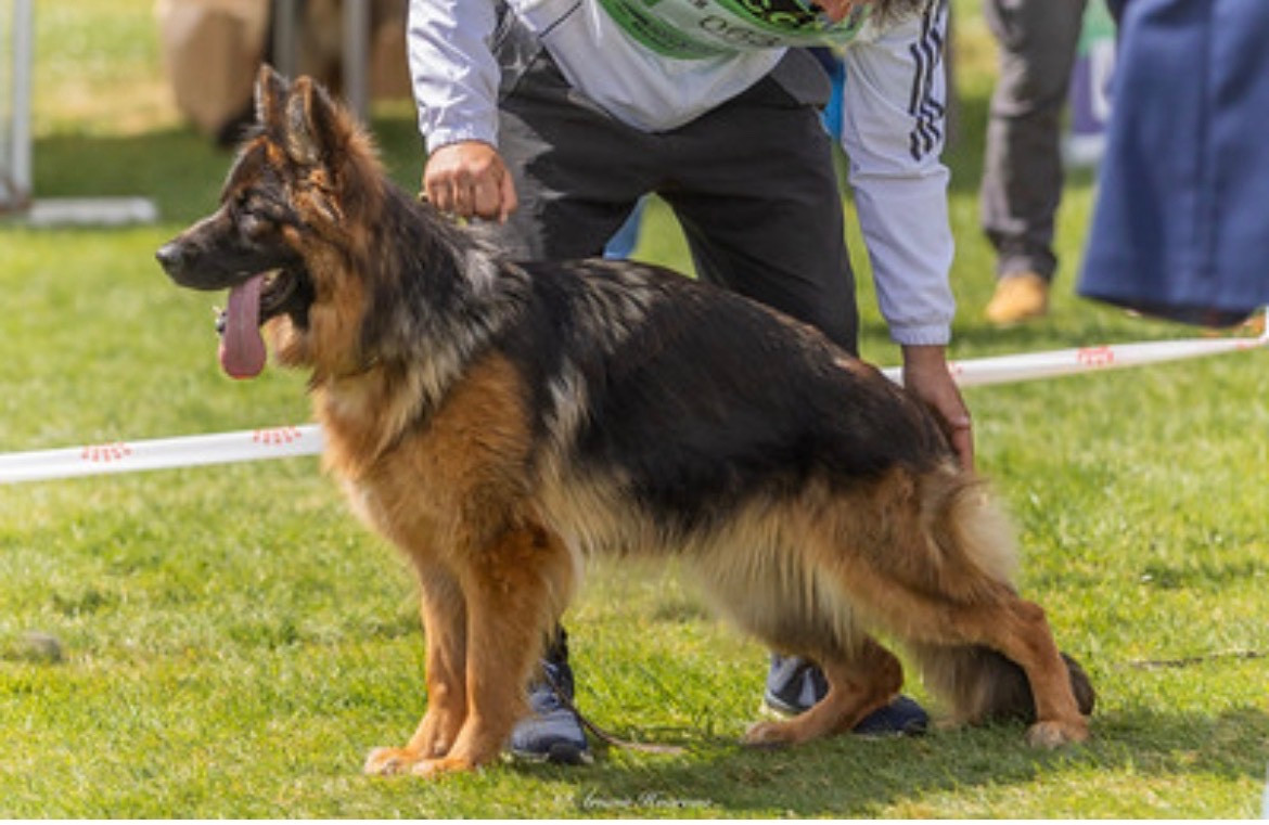 Publication : Du Clos De Bevell 