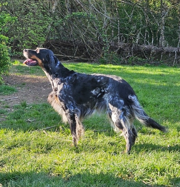 Sally Du Comté De Trépugnat
