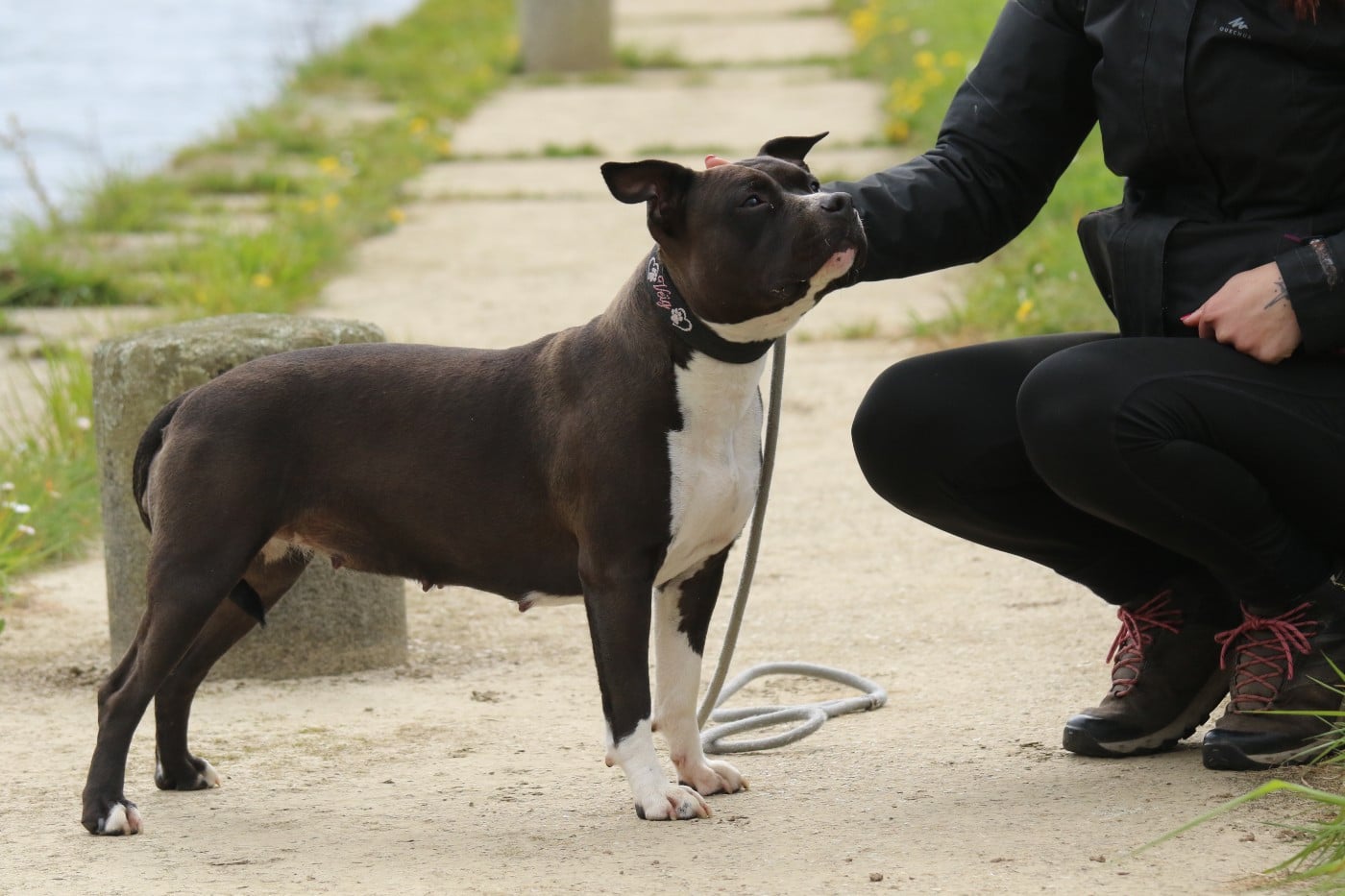 Publication : Dream Of White Angels 