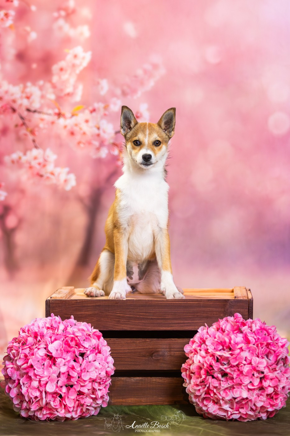 Publication : Des Landes D'Etten 