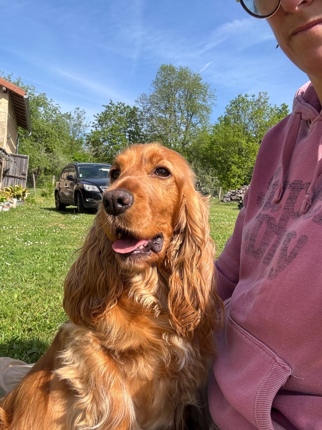 Publication : de La Constellation d'Heelou 